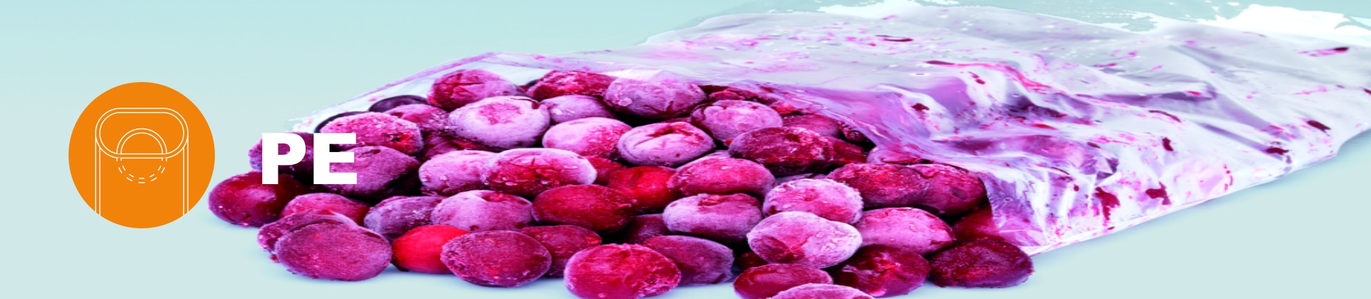 澳门十大信誉好的网站