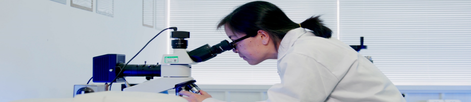 澳门十大信誉好的网站